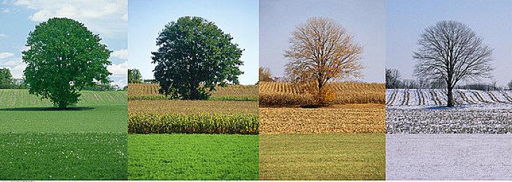 Fami通最新评分：《火焰纹章：结合》大获好评